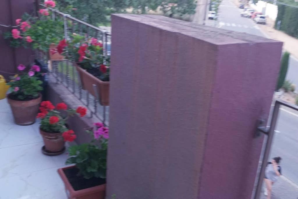 Apartamento Vacaciones Palafrugell Eksteriør billede